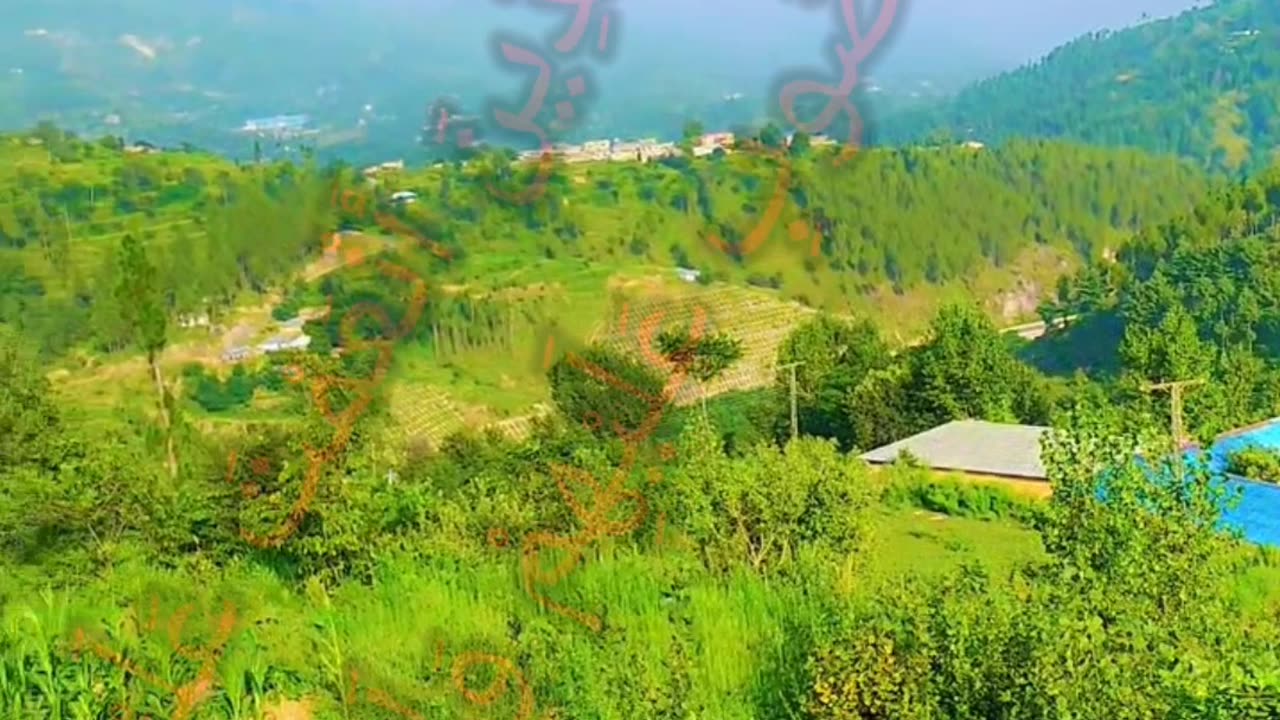 Beautiful voice