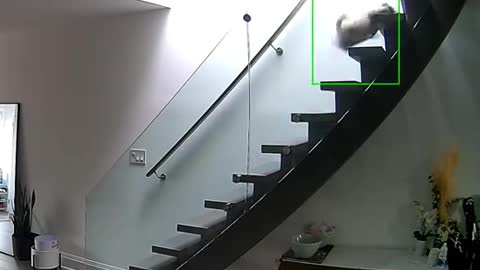 Me and my career ladder