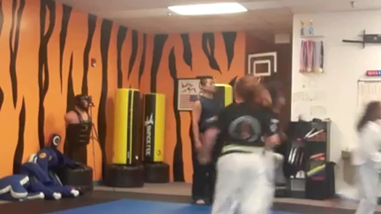 Kickboxing & Taekwondo Class