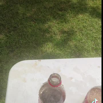 Mentos in a Soda Challenges.