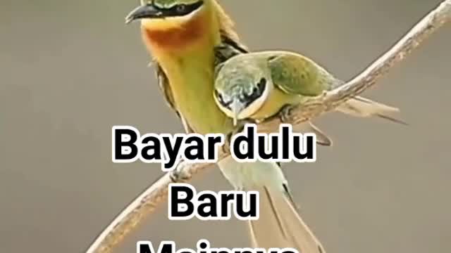 Perkawinan