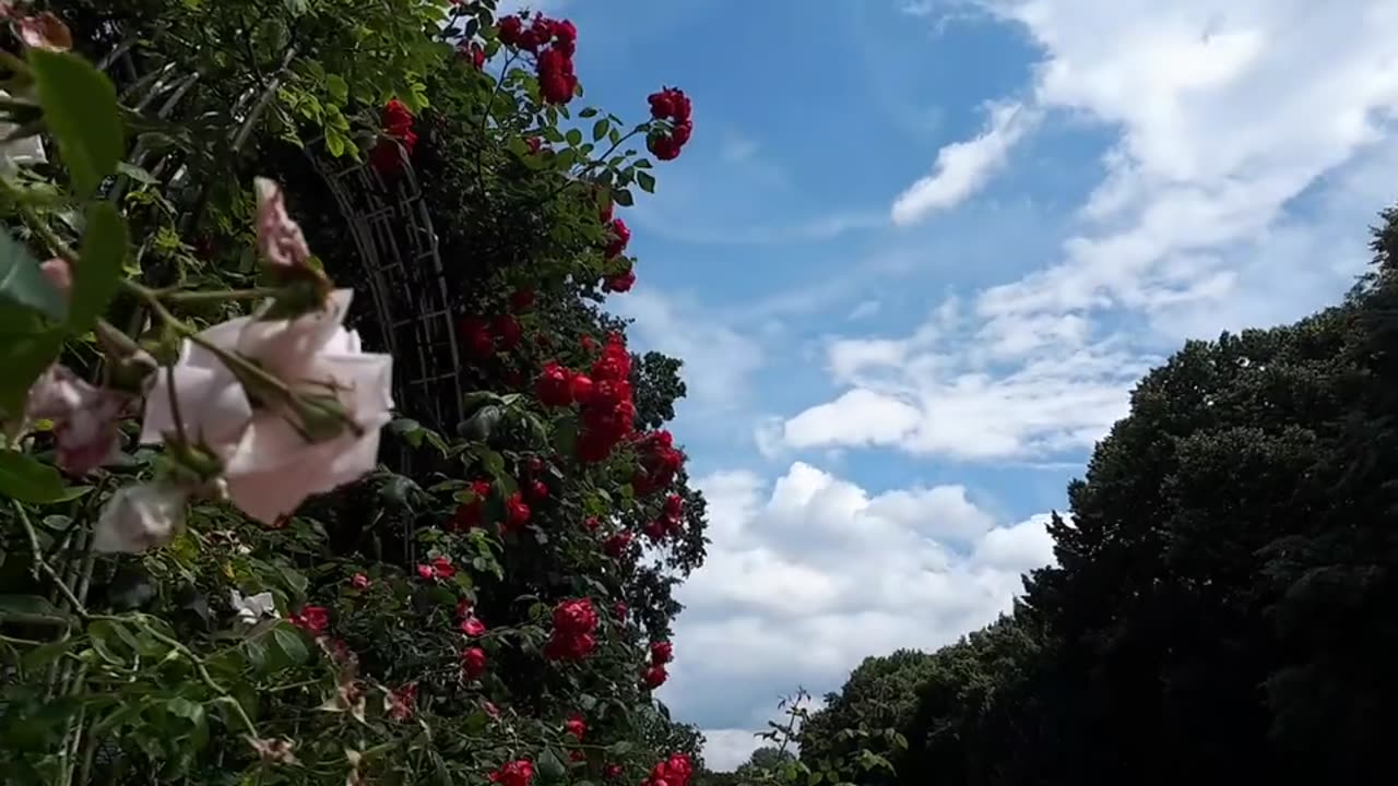 Himmel in Berlin am 1.7.2023 um 13:30 Uhr