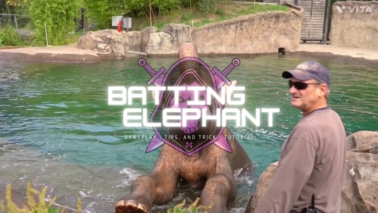 Bathing elephant