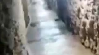 TUNNELS OF "FREEDOM"