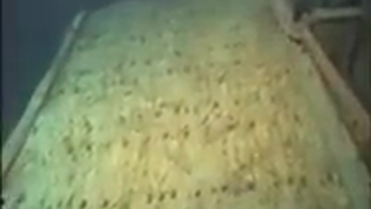 NOAA Titanic Expedition 2004: Breathtaking Wreck Footage