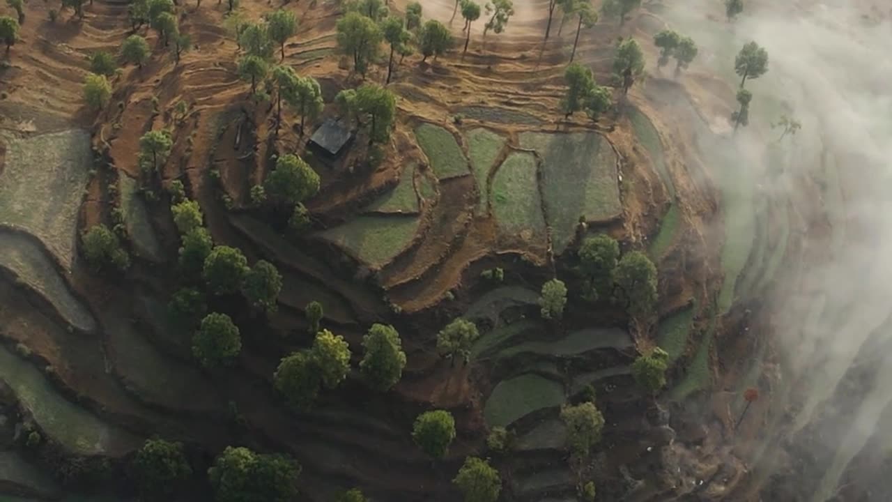 Nature beauty ❤️
