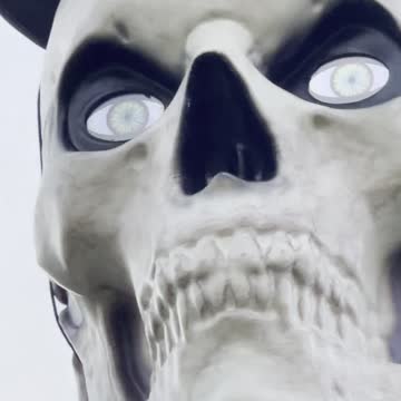 The skeleton that sees