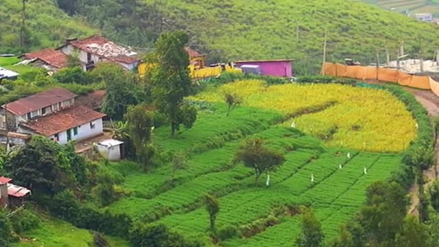 est ce que je peux savoir c dans kel pays.mp4