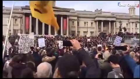 vaccine mandate song