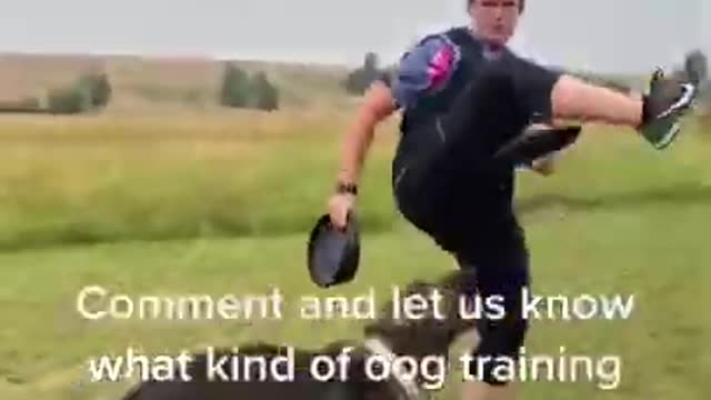 Dog Training Video