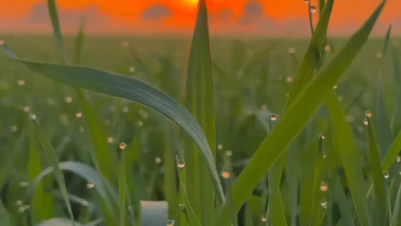 Natural love ππΎπΈ