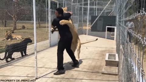 Lion Sees Her Adoptive Dad After 7 Years...