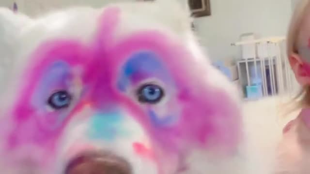 WHEN YOUR DOG LOVES YOU...