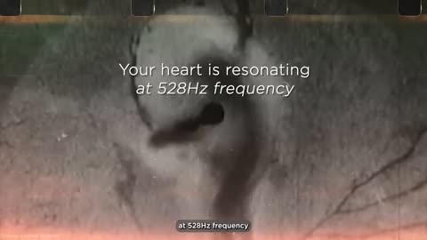 The power of sound: 528Hz is The Miracle Tone and 741Hz is The Devil’s Note