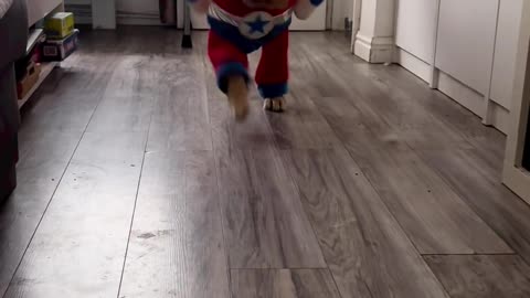 Superman dress for dogs.