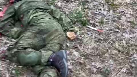 Part 3 - Ukraine War Crimes