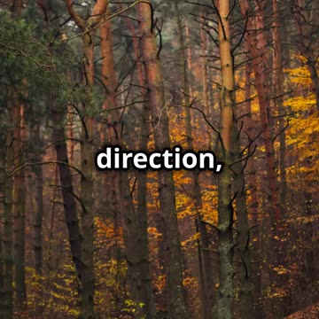 Define Your Values!!!