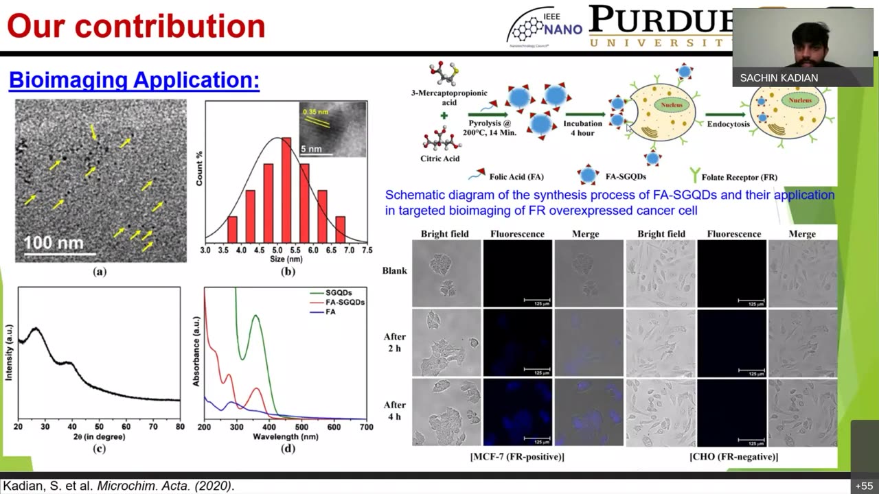 IEEE NANO: Expert Talk on "Graphene Quantum Dots for biomedical & optoelectronics applications