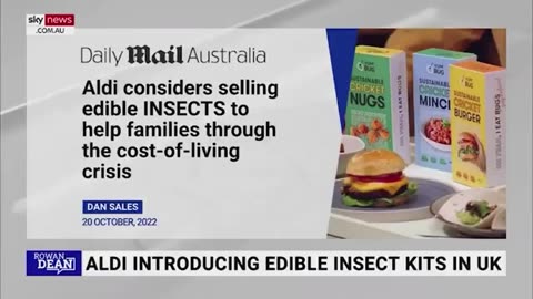 Aldi considers selling edible INSECTS to help families through the cost-of-living crisis