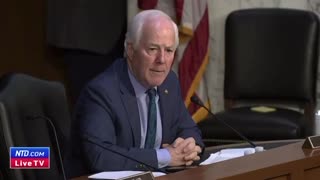 Cornyn: Border Business Model - Human and Drug Trafficking