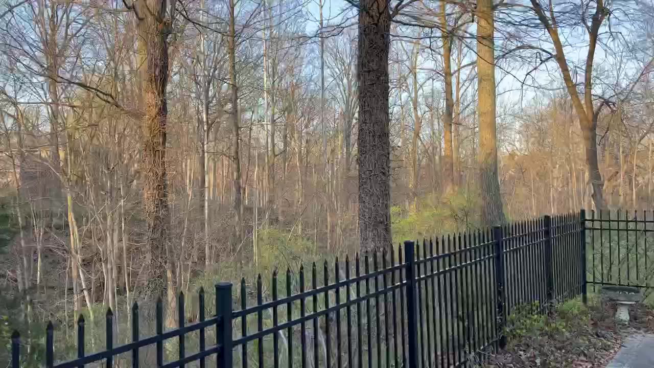 April 9, 2023- Easter Sunday Morning in Avon, Indiana