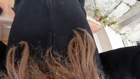 2022-11-21 (4) - GO déchargement - Twitch Decheterie