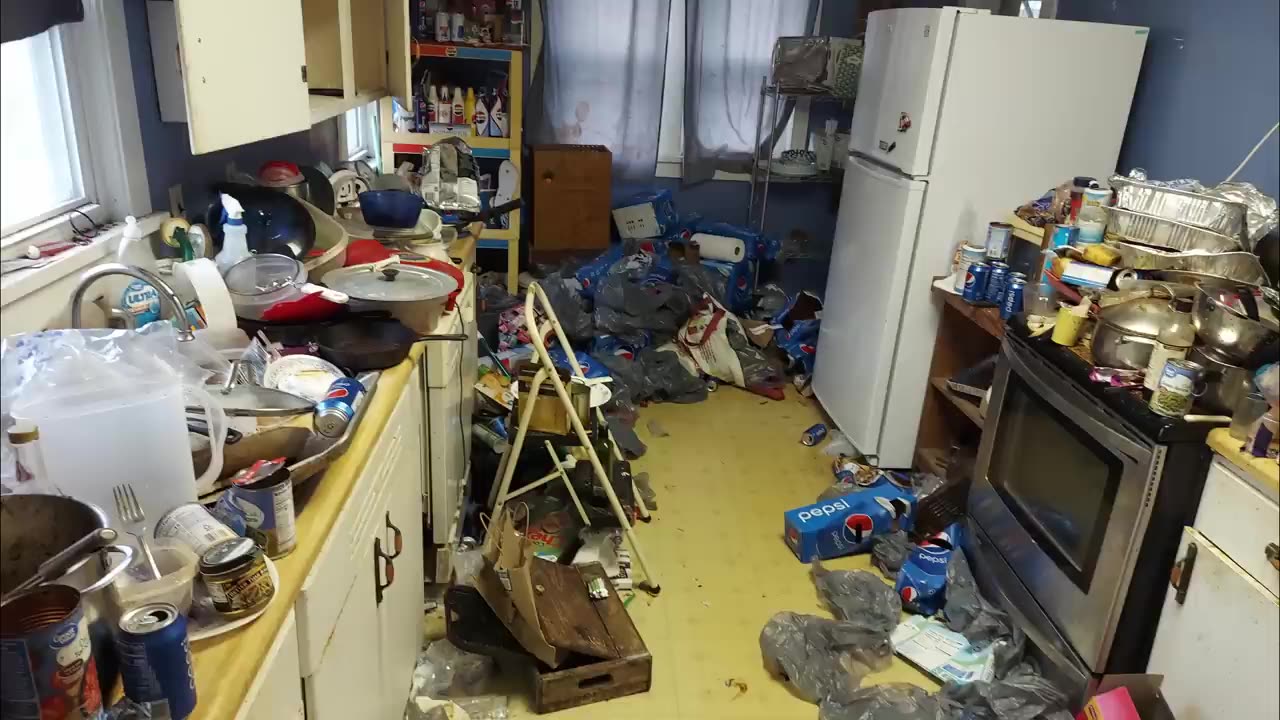 Cleaning a hoarder biohazard kitchen for FREE