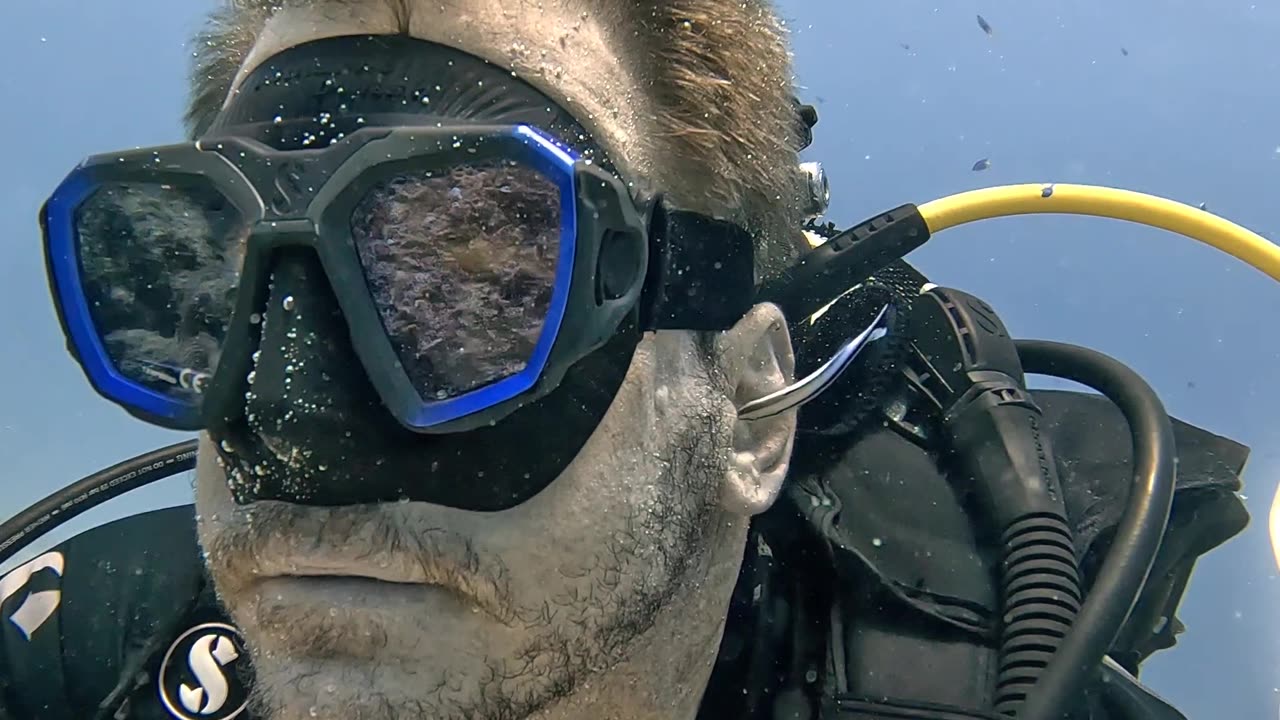 Small Fish Cleans Scuba Diver's Ears