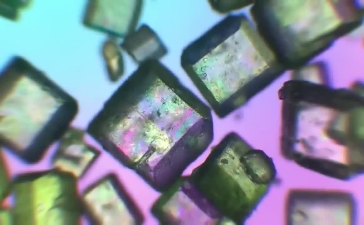 Things that looks amazing under a microscope||Things under a microscope||