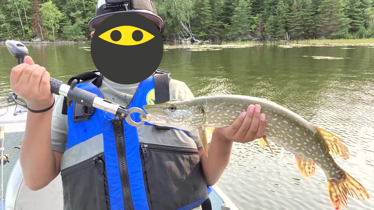 Top Water Pike Hunting