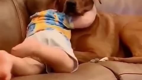 Cute boy and Dog