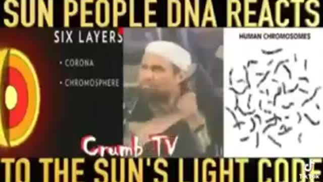 Dna truth