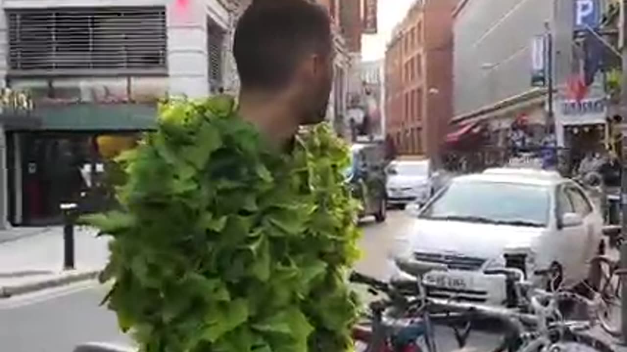 Tree prank at the street so amazing to watch