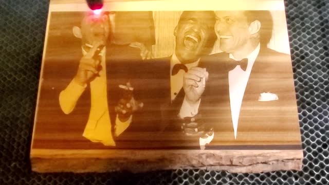 Laser engraving live wood
