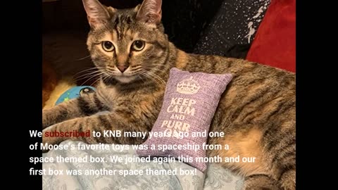 KitNipBox | Happy #Cat Dietary Box | Monthly-Overview