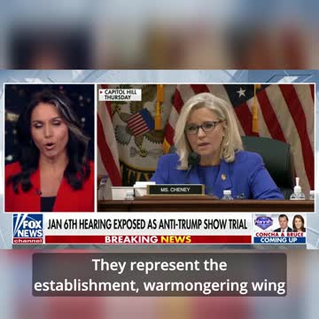 Jan 6 hearings a "show trial"