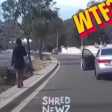 🚨 Woman Jumps Out of Car After Seeing a Spider—Talk About Overreacting!