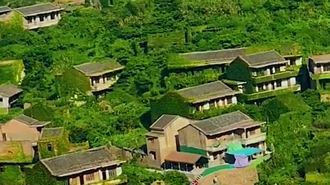 A house that has been derelict for more than twenty years