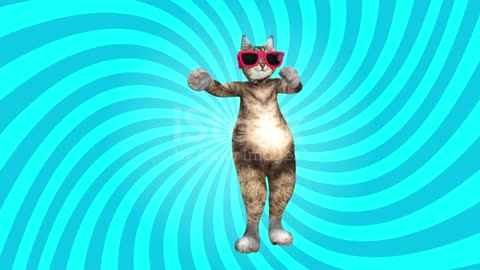 Funny cat dancing