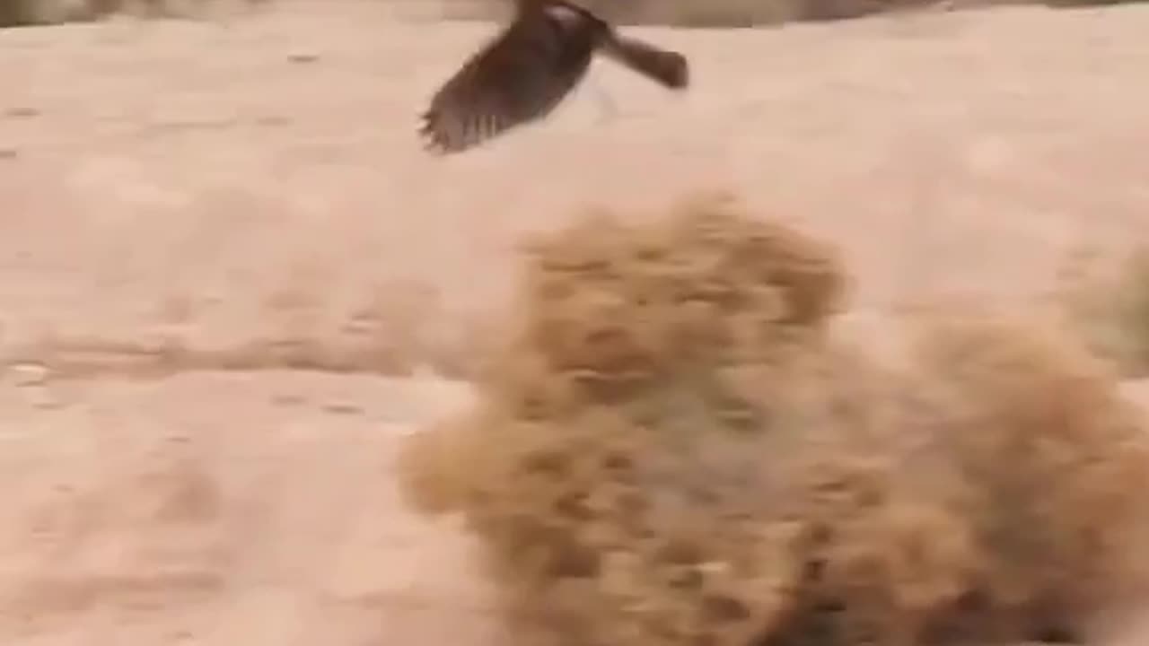 Escape from. Death