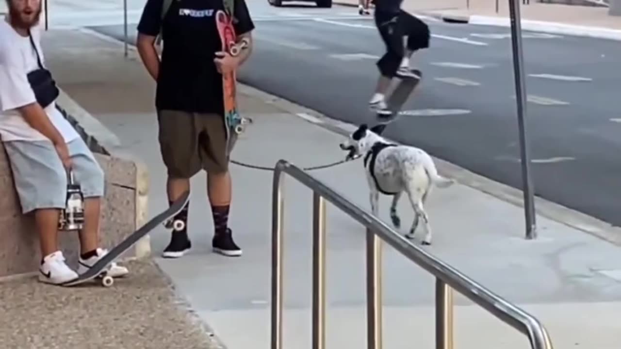 Awesome skater pulls off epic jump over dog's leash