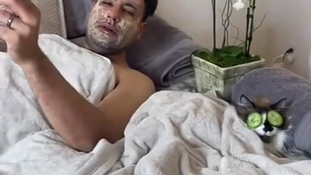 Man has a spa day with his three cats | CONTENTbible