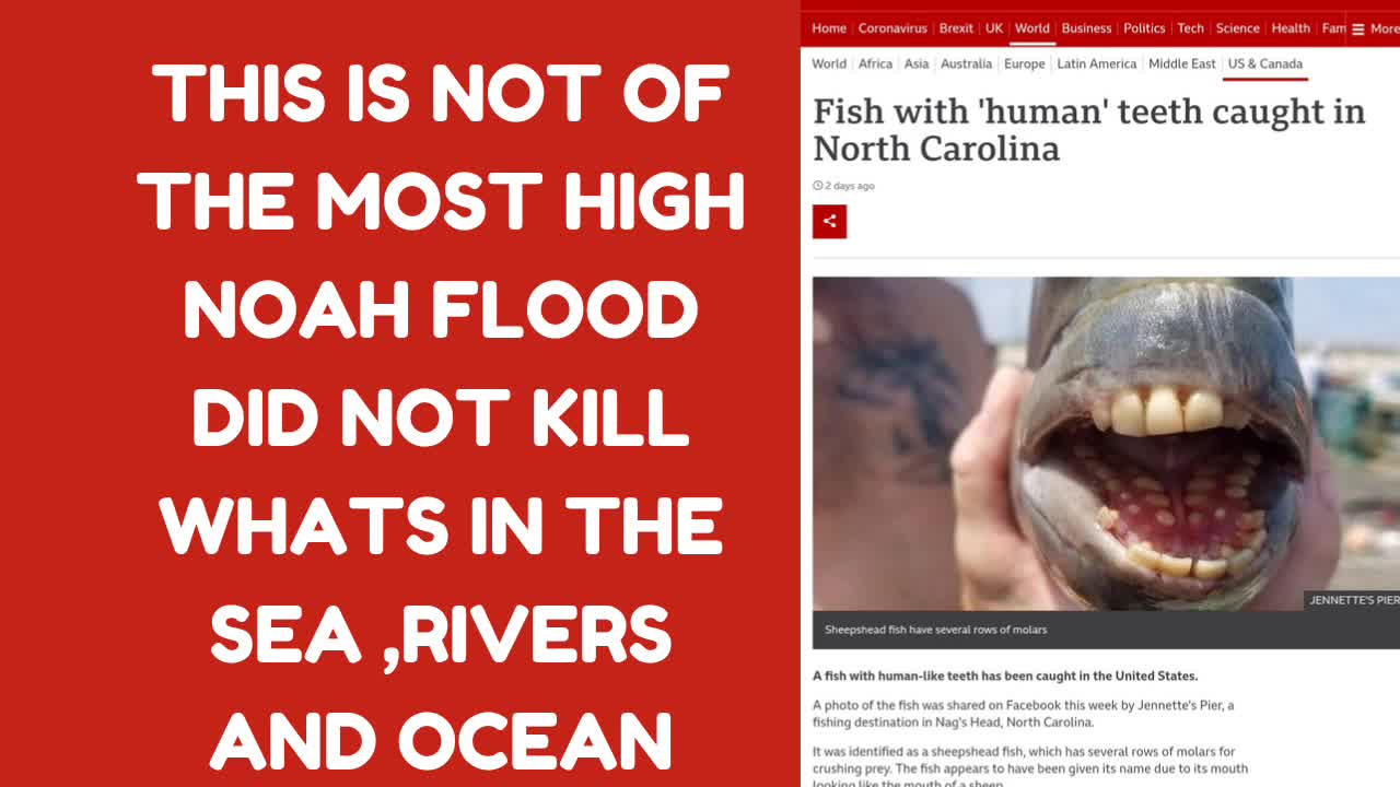 FISH CAUGHT WITH HUMAN TEETH IN NORTH CAROLINA