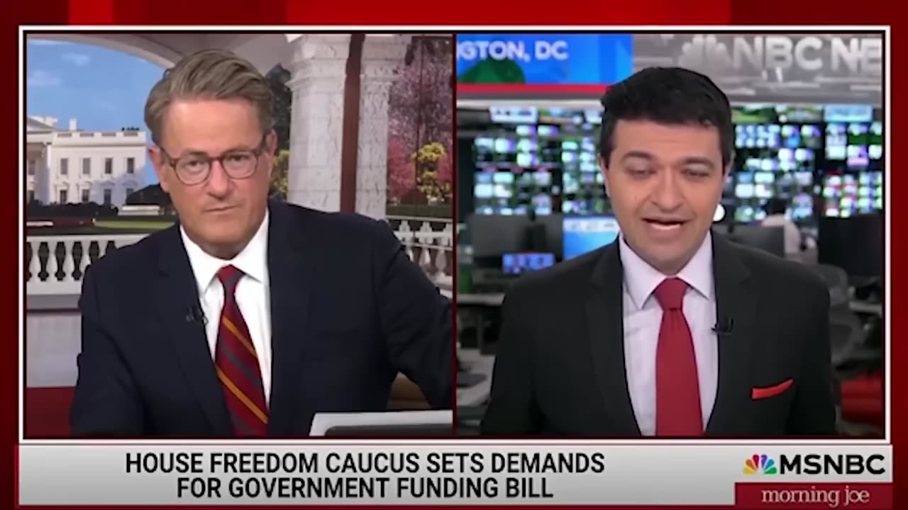 MSNBC (MS-LSD) Guest Accidentally Lets It Slip That Illegals Are Voting