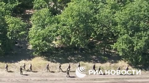 24 Ukrainian soldiers voluntarily laid down their arms in the area Komarovka, Kursk region