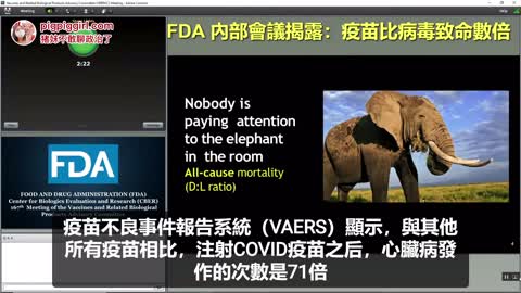 重磅炸彈，FDA內部會議今日公開，醫生比病毒數字數字倍（鏈接：https://youtu.be/WFph7-6t34M?t=15643）