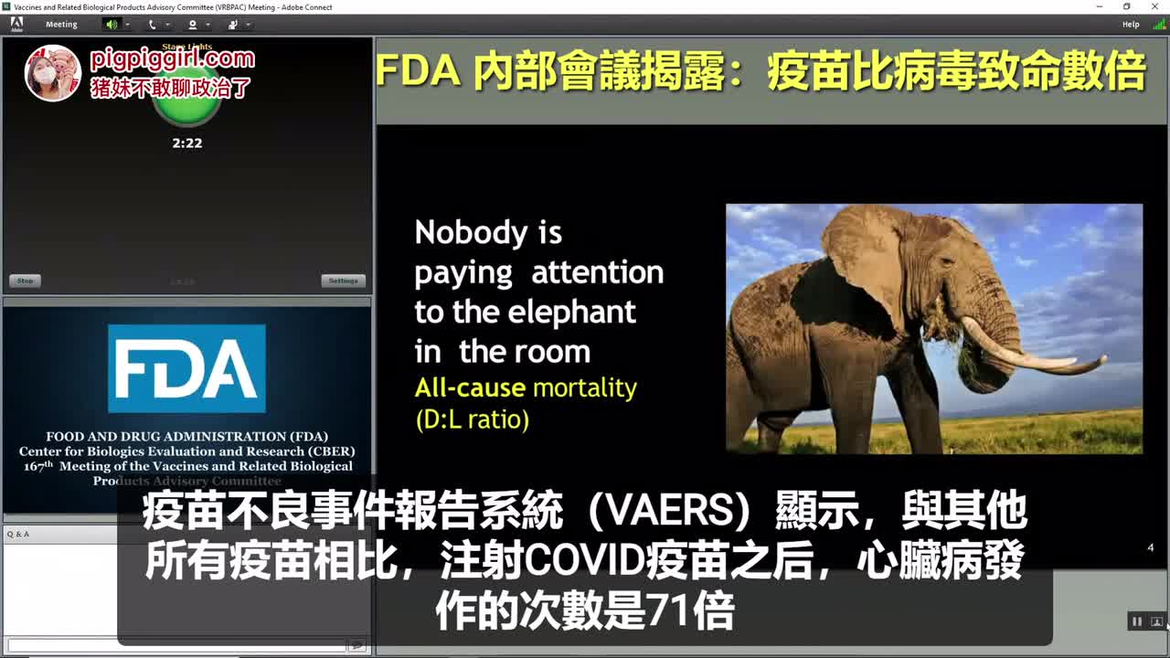 重磅炸彈，FDA內部會議今日公開，醫生比病毒數字數字倍（鏈接：https://youtu.be/WFph7-6t34M?t=15643）