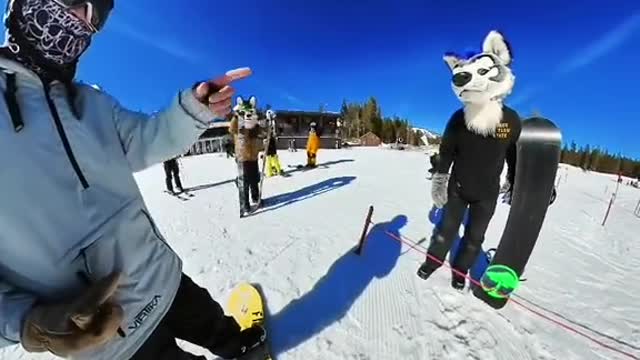 That was a first. #furry #snowboard #halfcabking