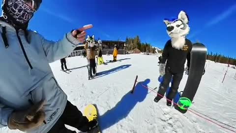 That was a first. #furry #snowboard #halfcabking