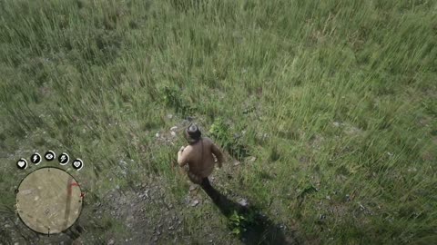 RDR2 - random event (man picking indian tobacco)